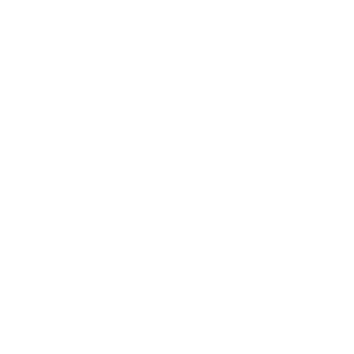 Shropshire Schafzucht – Gerstenhof
